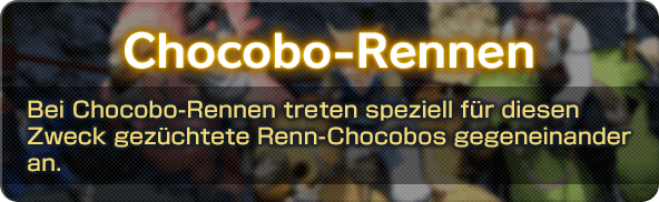 Chocobo-Rennen