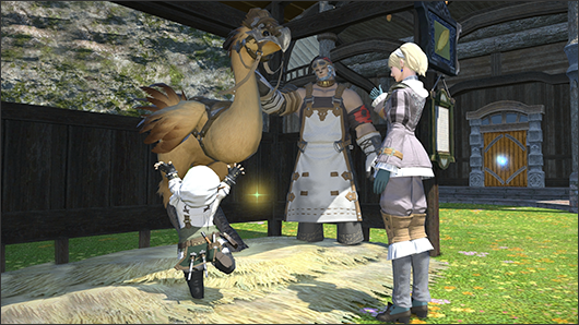 This Square Enix account cannot play FFXIV · Issue #789 · goatcorp
