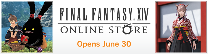 final fantasy store