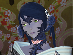 New Optional Items Available Final Fantasy Xiv The Lodestone New Optional Items Available Final Fantasy Xiv The Lodestone