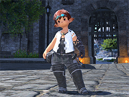 Ffxiv best optional items