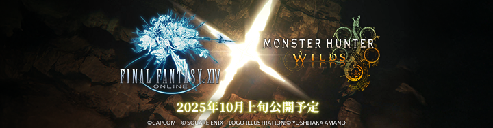 FINAL FANTASY XIV, The Lodestone