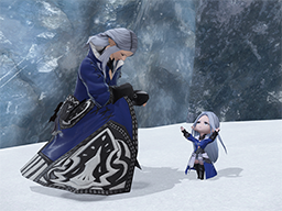 New Optional Items Available! | FINAL FANTASY XIV, The ...